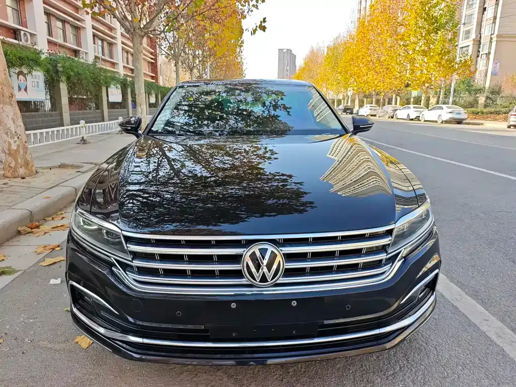 Volkswagen Phideon 2021 из CN, фото 9