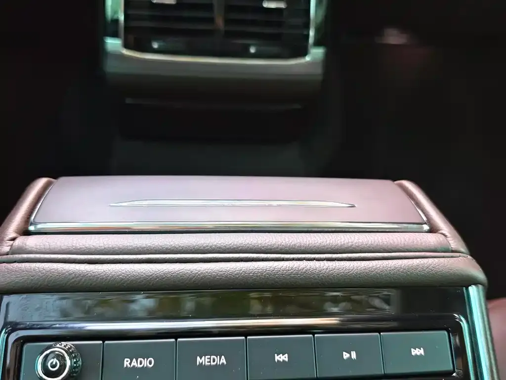 Volkswagen Phideon 2021 из CN, фото 4