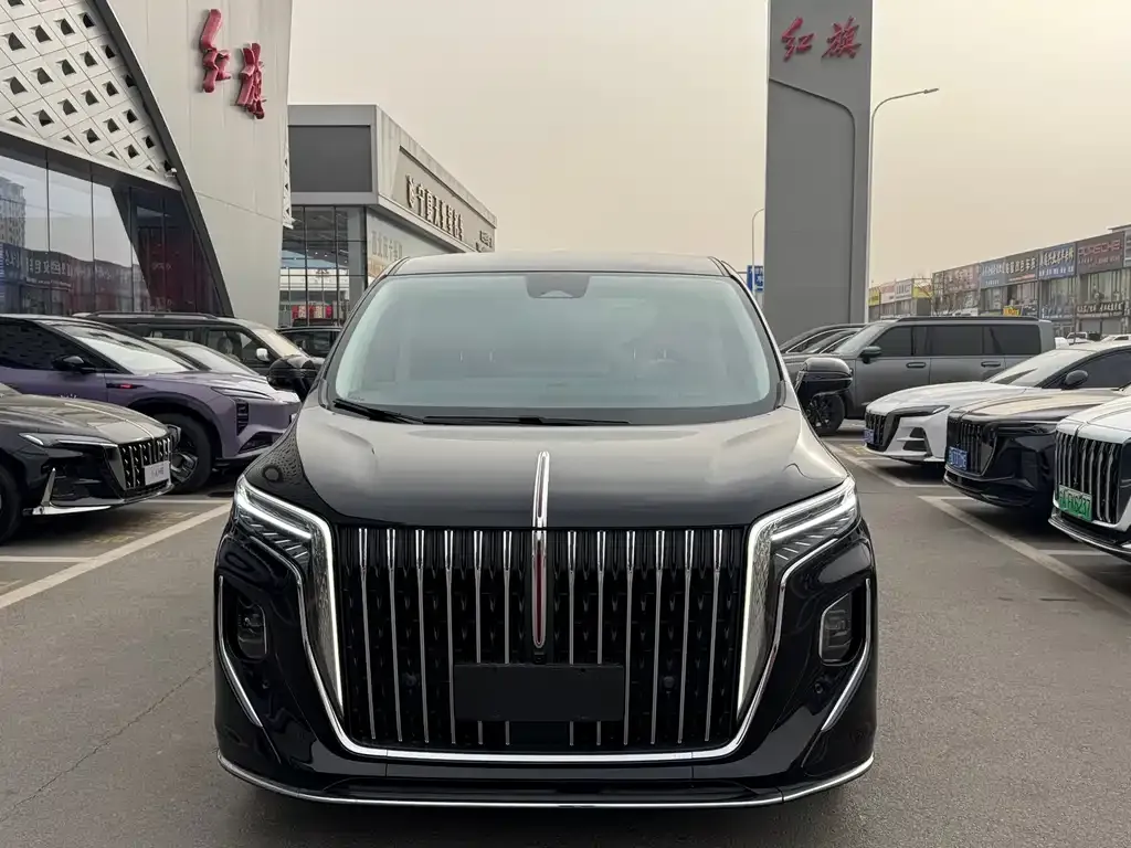 Hongqi HQ9 2023 из CN, фото 9