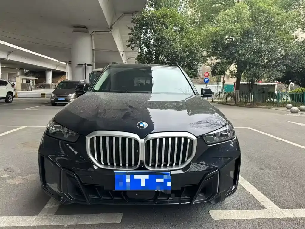 BMW X5 2024 из CN, фото 6
