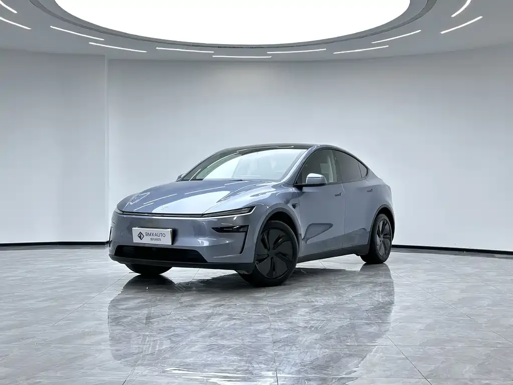 Tesla Model Y 2025 из CN, фото 1