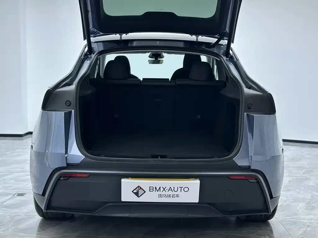 Tesla Model Y 2025 из CN, фото 2