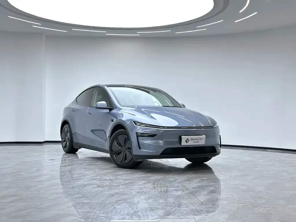 Tesla Model Y 2025 из CN, фото 6