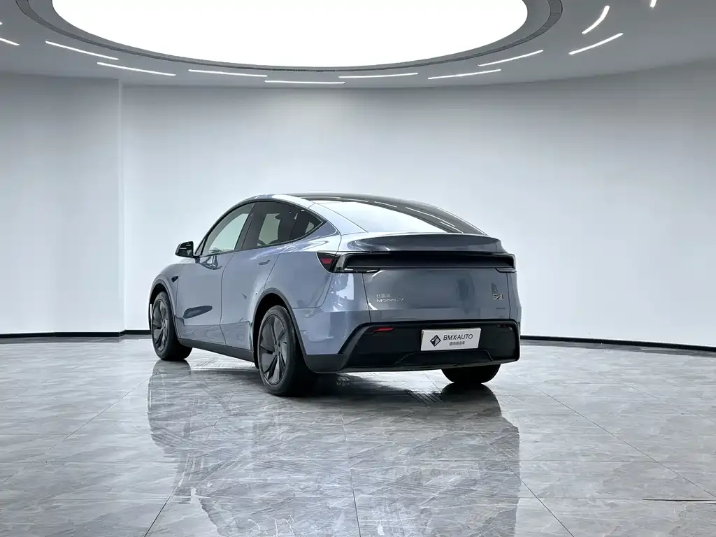 Tesla Model Y 2025 из CN, фото 10