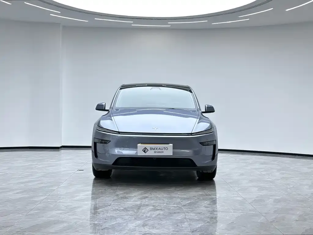 Tesla Model Y 2025 из CN, фото 7