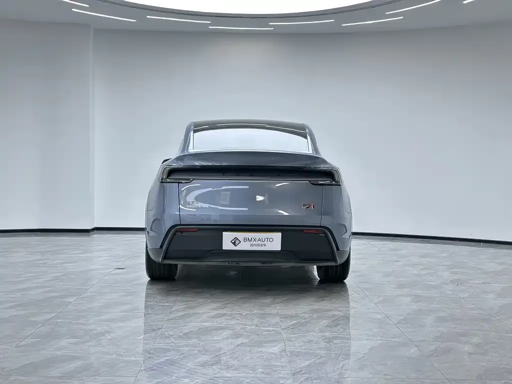 Tesla Model Y 2025 из CN, фото 5