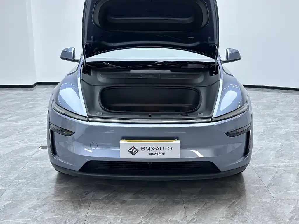 Tesla Model Y 2025 из CN, фото 4