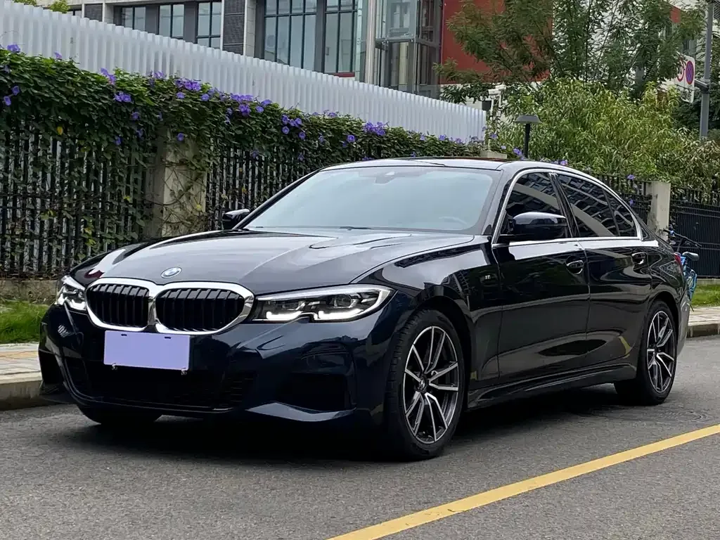 BMW 3 Series 2021 из CN, фото 1