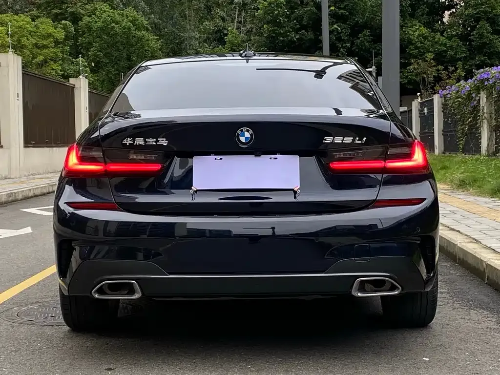 BMW 3 Series 2021 из CN, фото 7