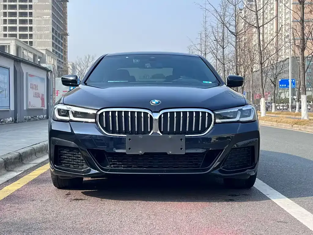BMW 5 Series 2023 из CN, фото 4
