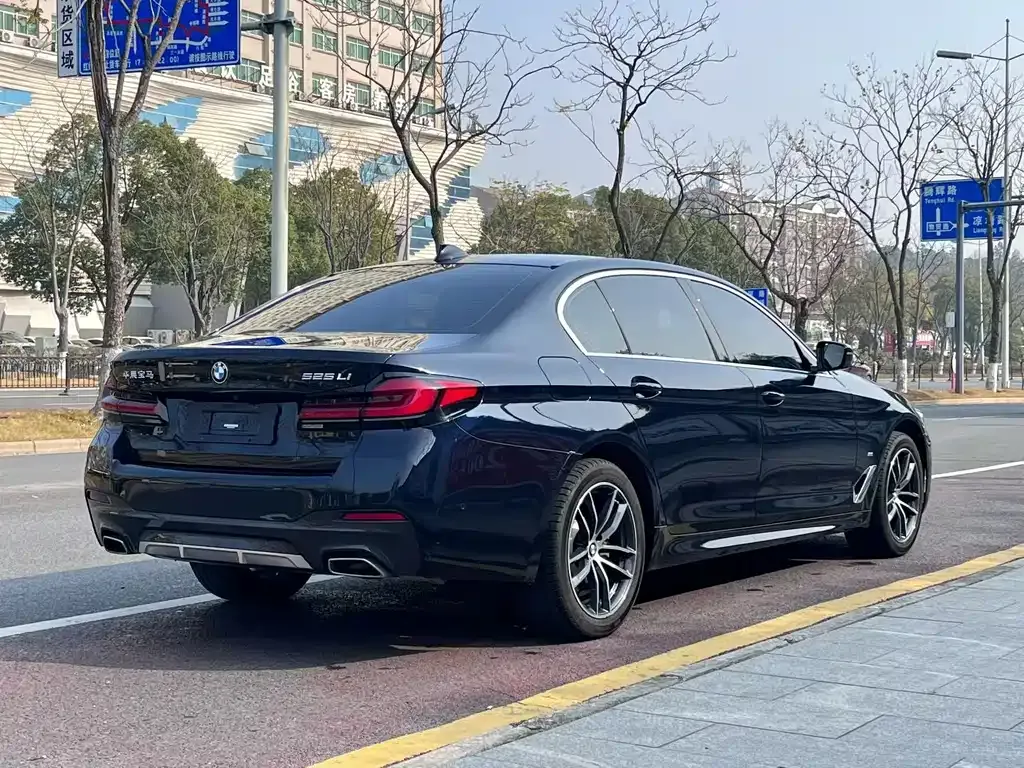 BMW 5 Series 2023 из CN, фото 8