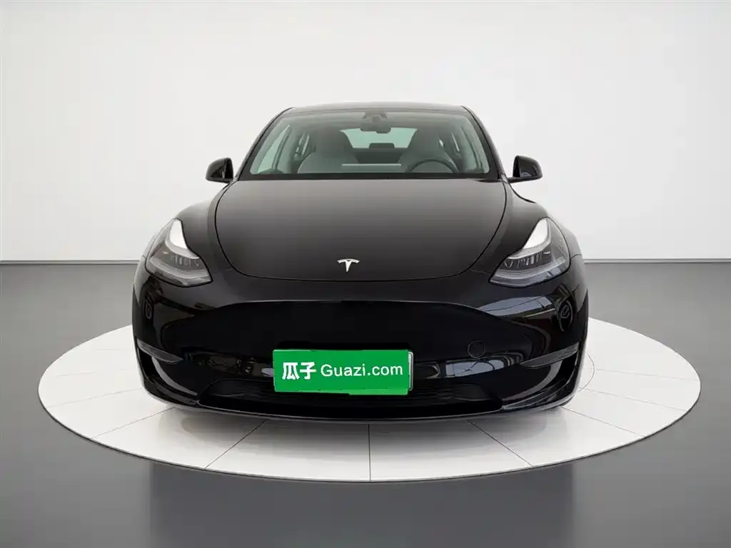 Tesla Model Y 2021 из CN, фото 6