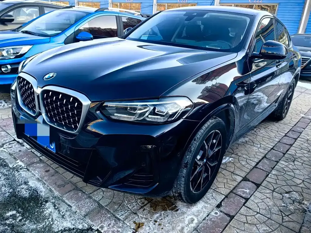 BMW X4 2023 из CN, фото 1