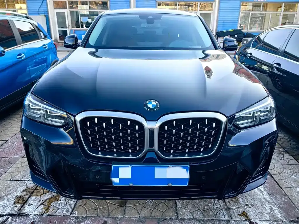 BMW X4 2023 из CN, фото 6