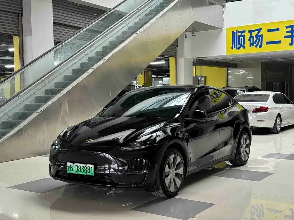 Tesla Model Y 2021 из CN, фото 1