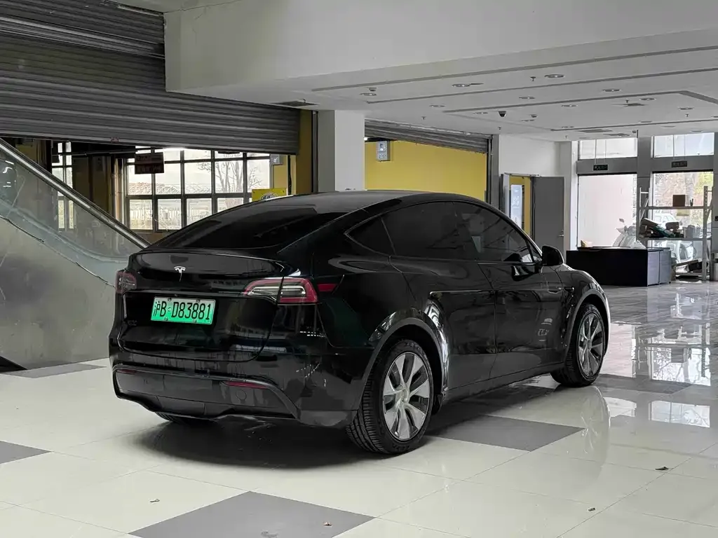 Tesla Model Y 2021 из CN, фото 9