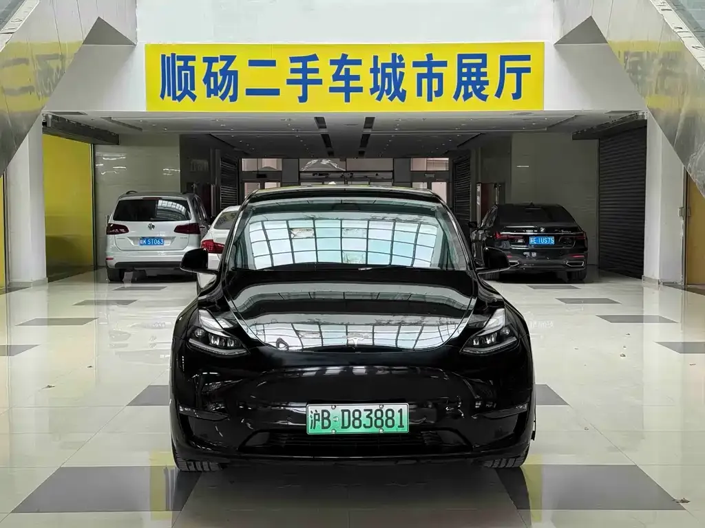 Tesla Model Y 2021 из CN, фото 10