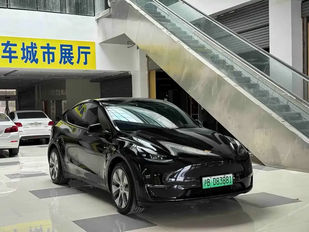 Tesla Model Y 2021 из CN, фото 8