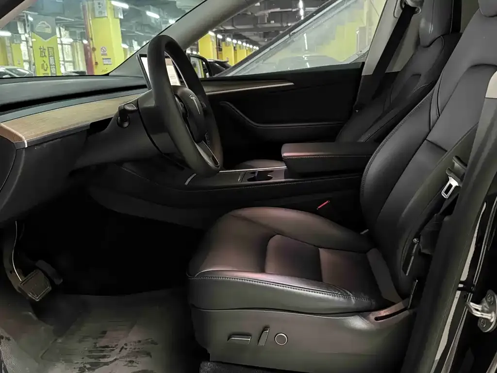 Tesla Model Y 2021 из CN, фото 5