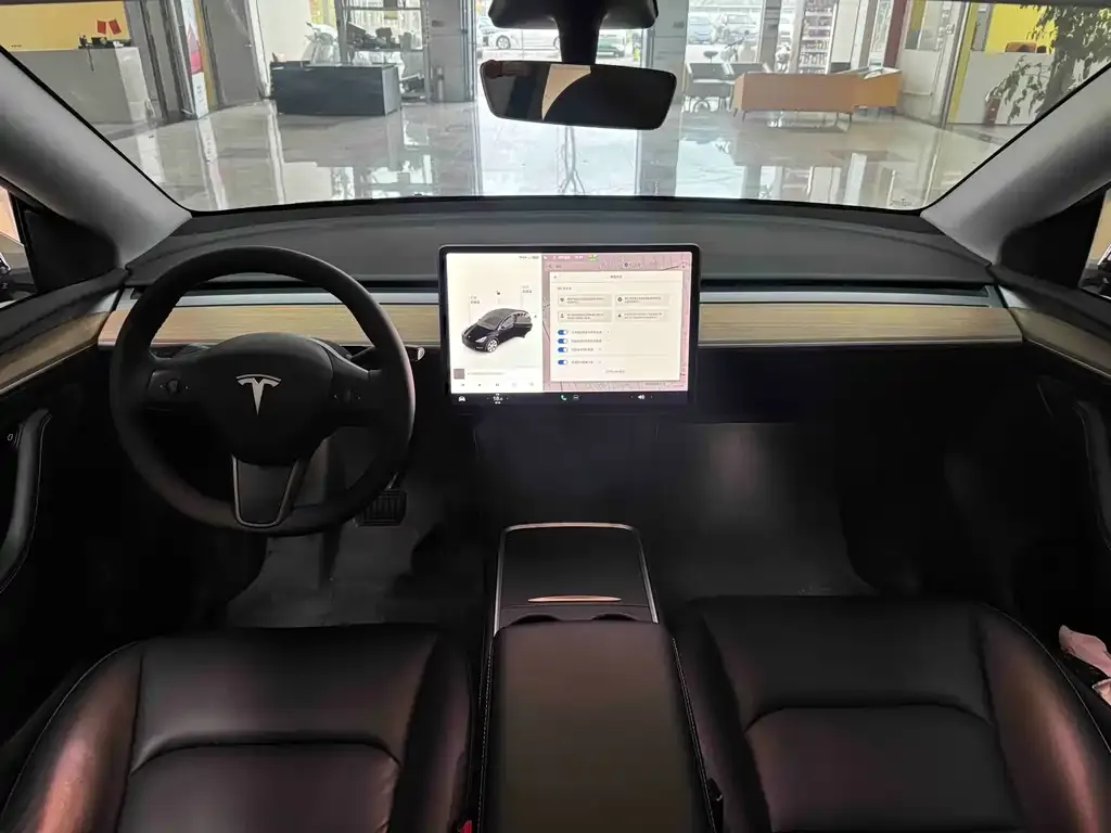 Tesla Model Y 2021 из CN, фото 7