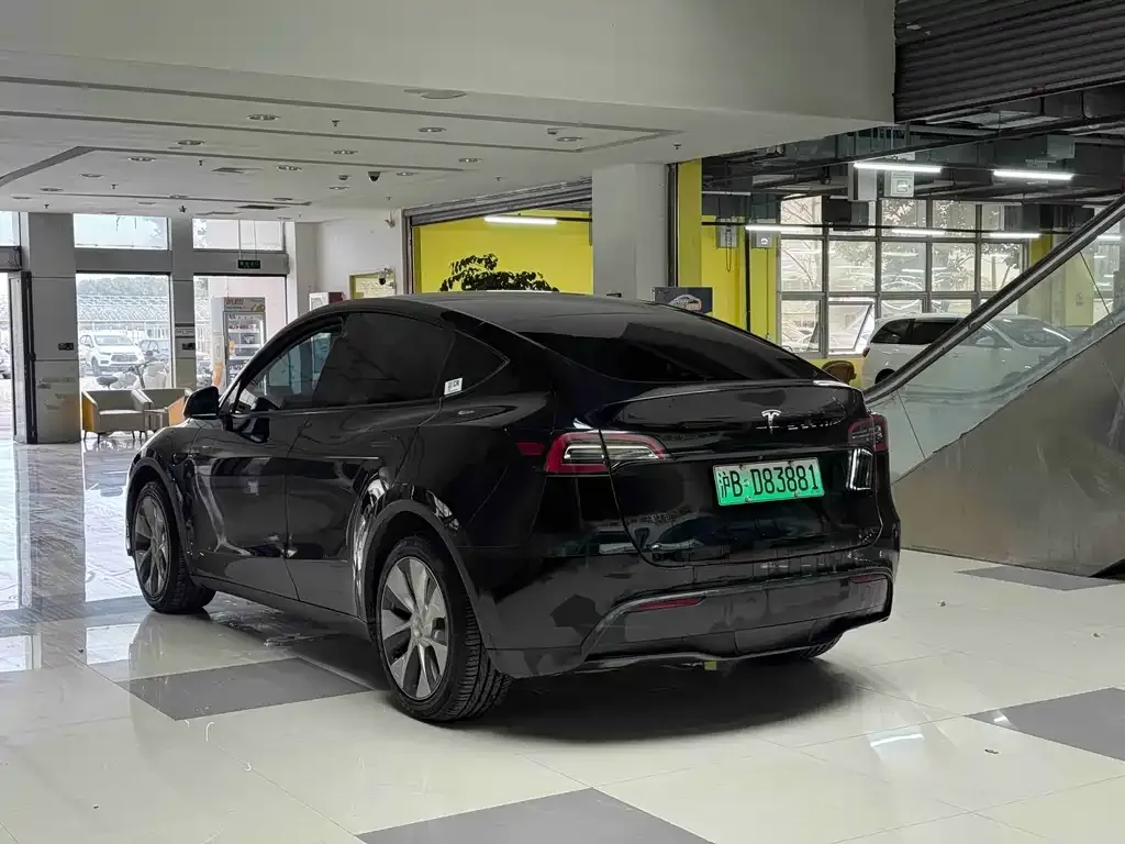 Tesla Model Y 2021 из CN, фото 6