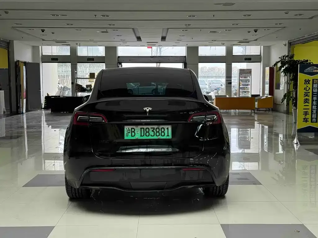 Tesla Model Y 2021 из CN, фото 4