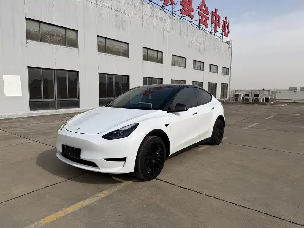 Tesla Model Y 2024 из CN, фото 1