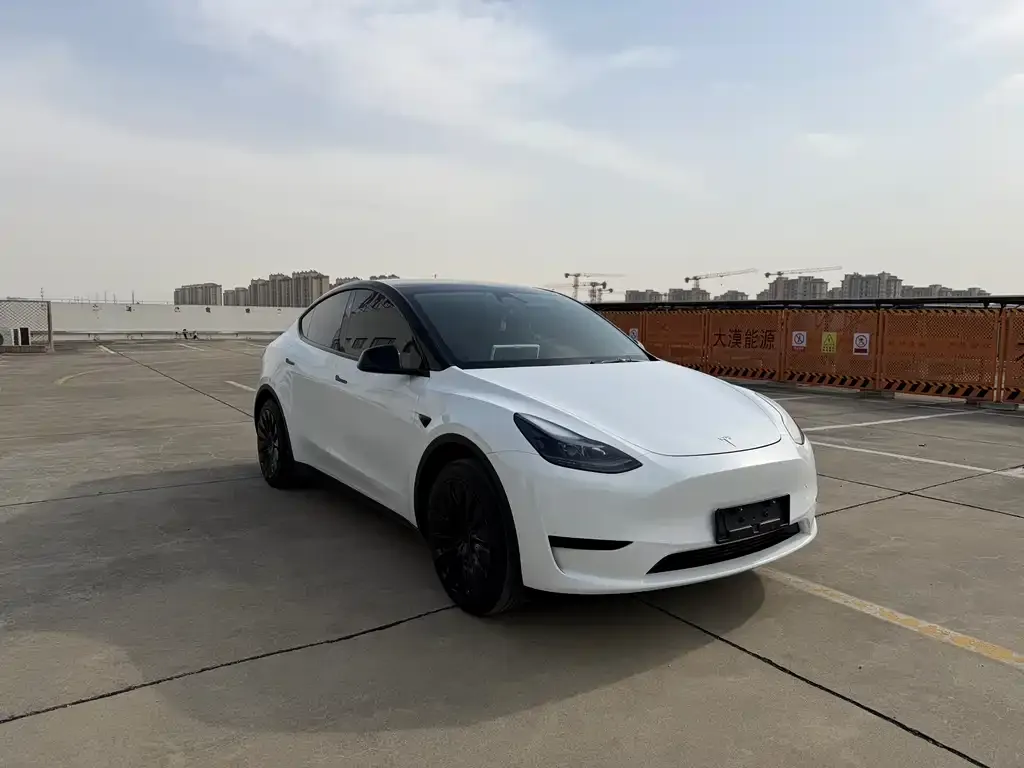 Tesla Model Y 2024 из CN, фото 5