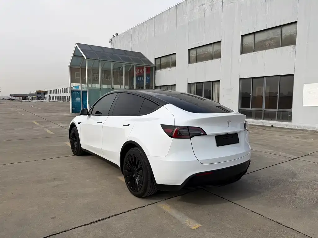 Tesla Model Y 2024 из CN, фото 6