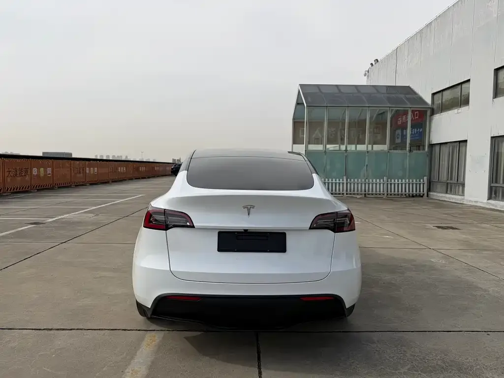 Tesla Model Y 2024 из CN, фото 7