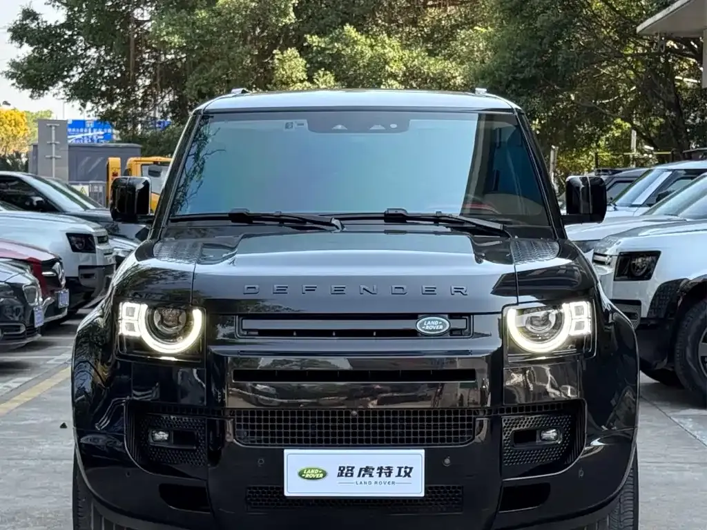 Land Rover Defender 2022 из CN, фото 8