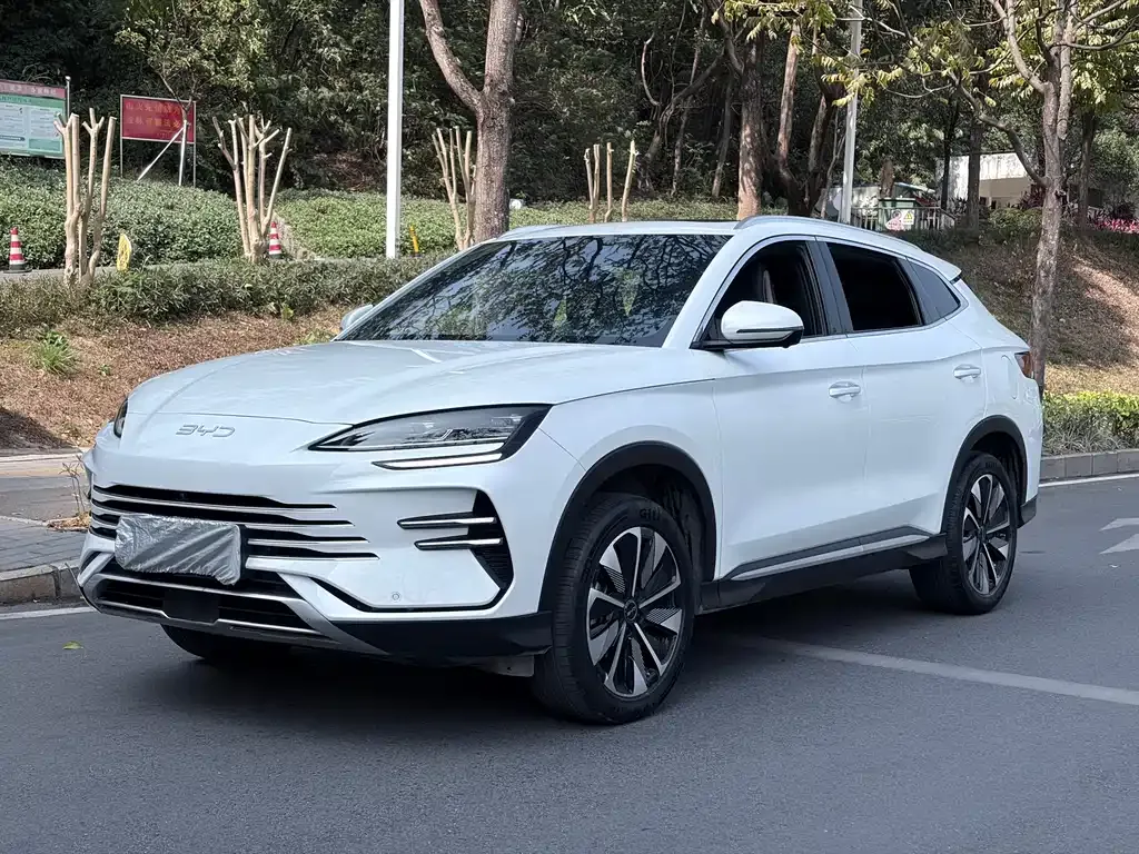 BYD PLUS New Energy 2024 из CN, фото 1