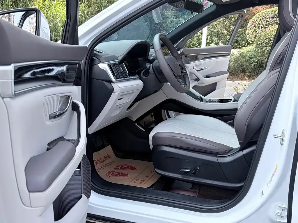 BYD PLUS New Energy 2024 из CN, фото 6