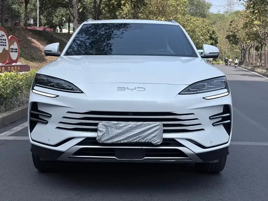 BYD PLUS New Energy 2024 из CN, фото 7