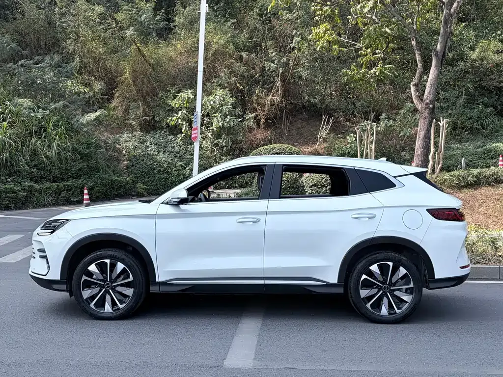 BYD PLUS New Energy 2024 из CN, фото 8