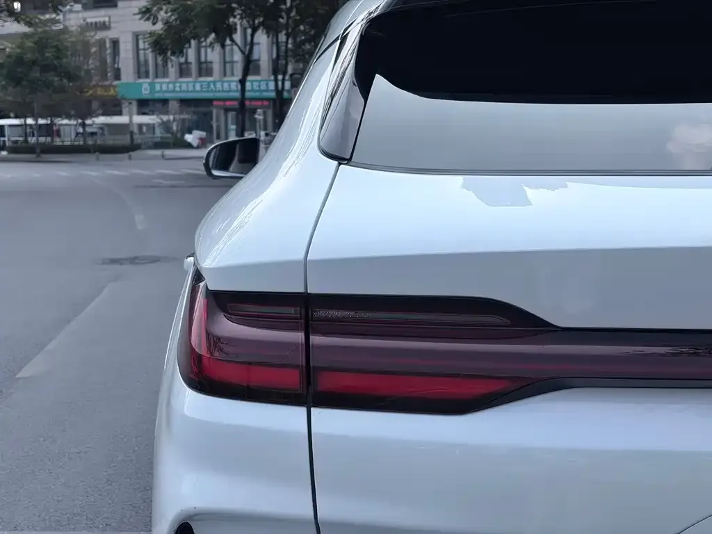 BYD PLUS New Energy 2024 из CN, фото 2