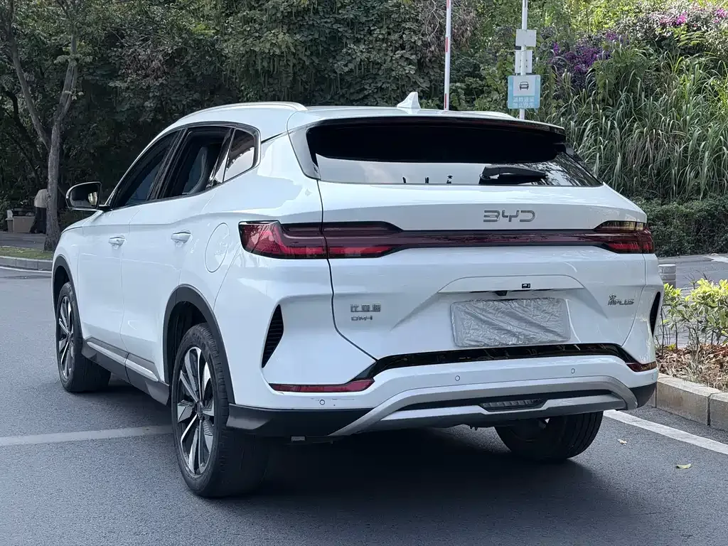 BYD PLUS New Energy 2024 из CN, фото 5