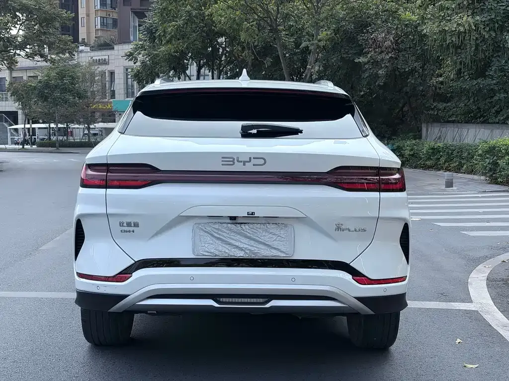 BYD PLUS New Energy 2024 из CN, фото 4