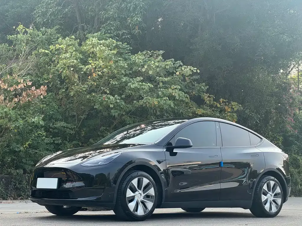 Tesla Model Y 2023 из CN, фото 1