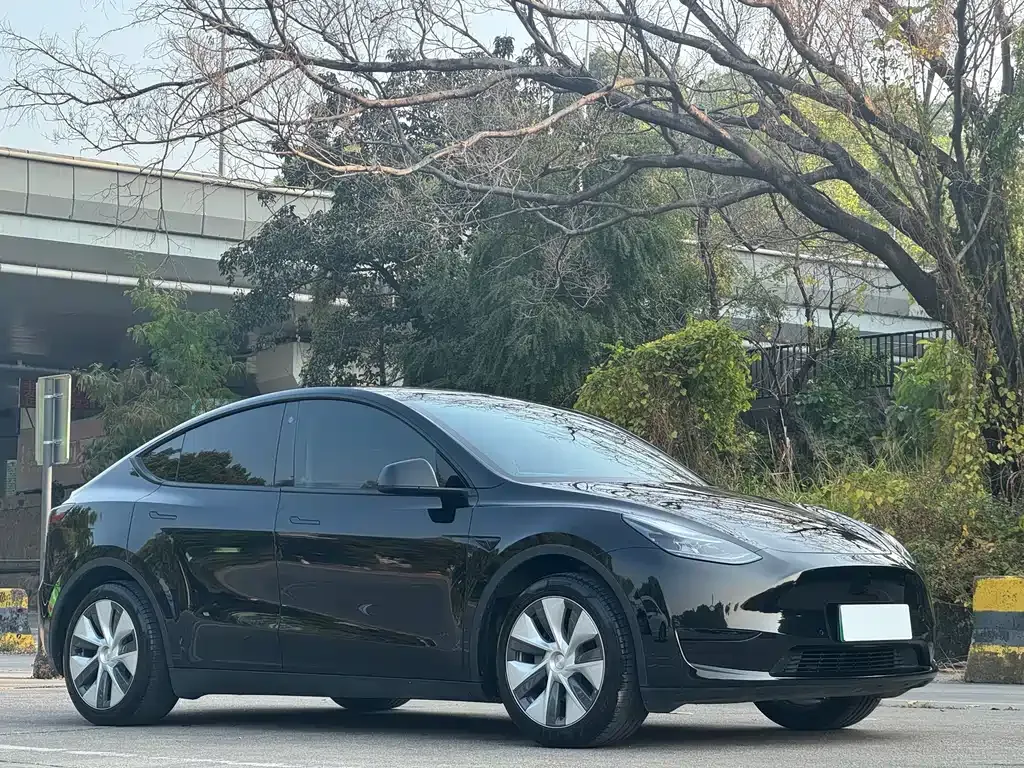 Tesla Model Y 2023 из CN, фото 7