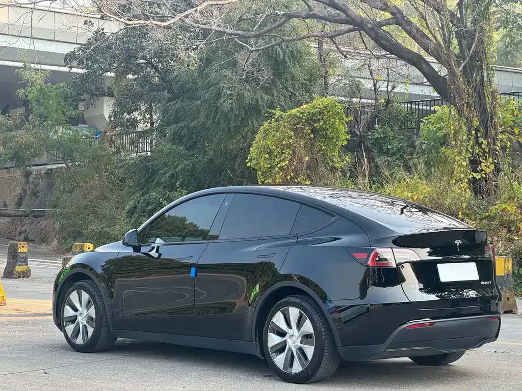 Tesla Model Y 2023 из CN, фото 6