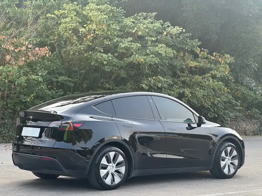 Tesla Model Y 2023 из CN, фото 9