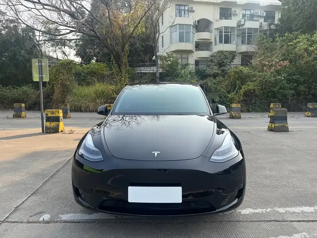 Tesla Model Y 2023 из CN, фото 4
