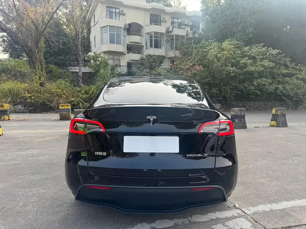 Tesla Model Y 2023 из CN, фото 2