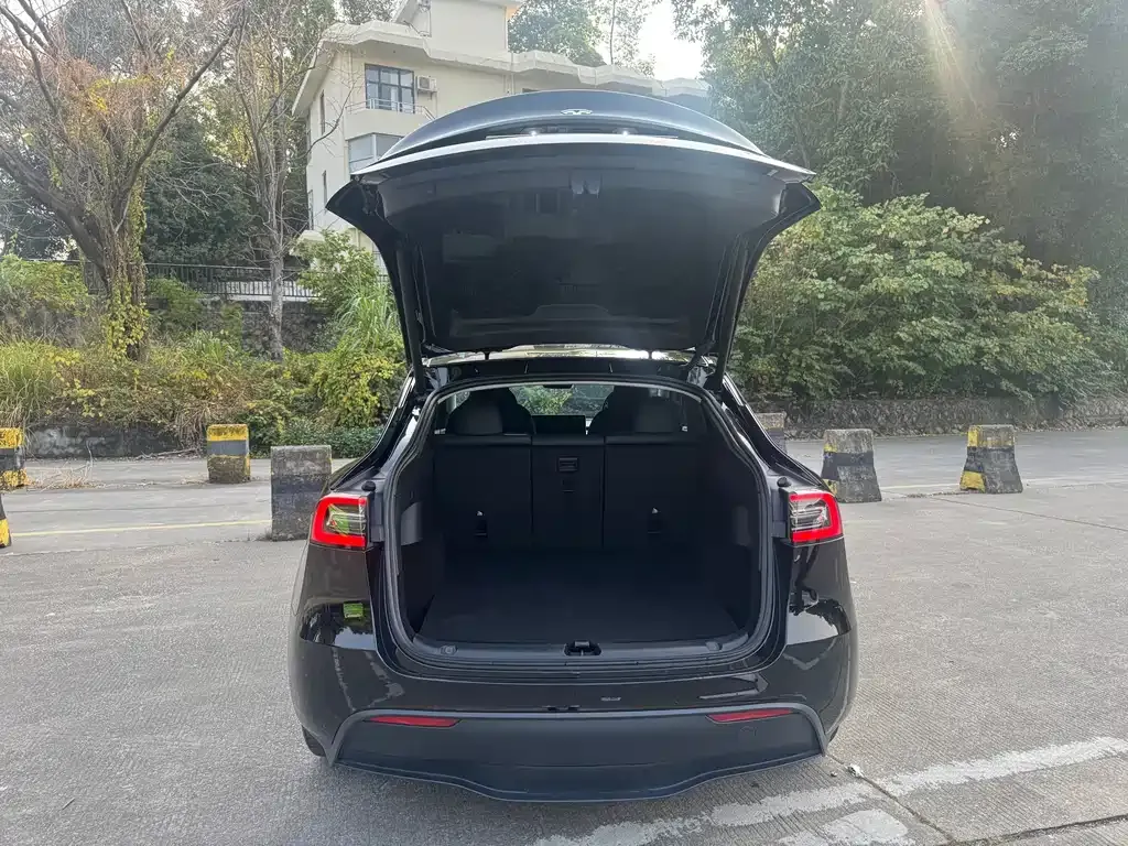 Tesla Model Y 2023 из CN, фото 3