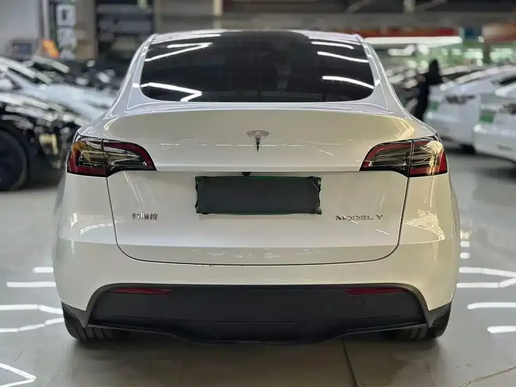 Tesla Model Y 2024 из CN, фото 9