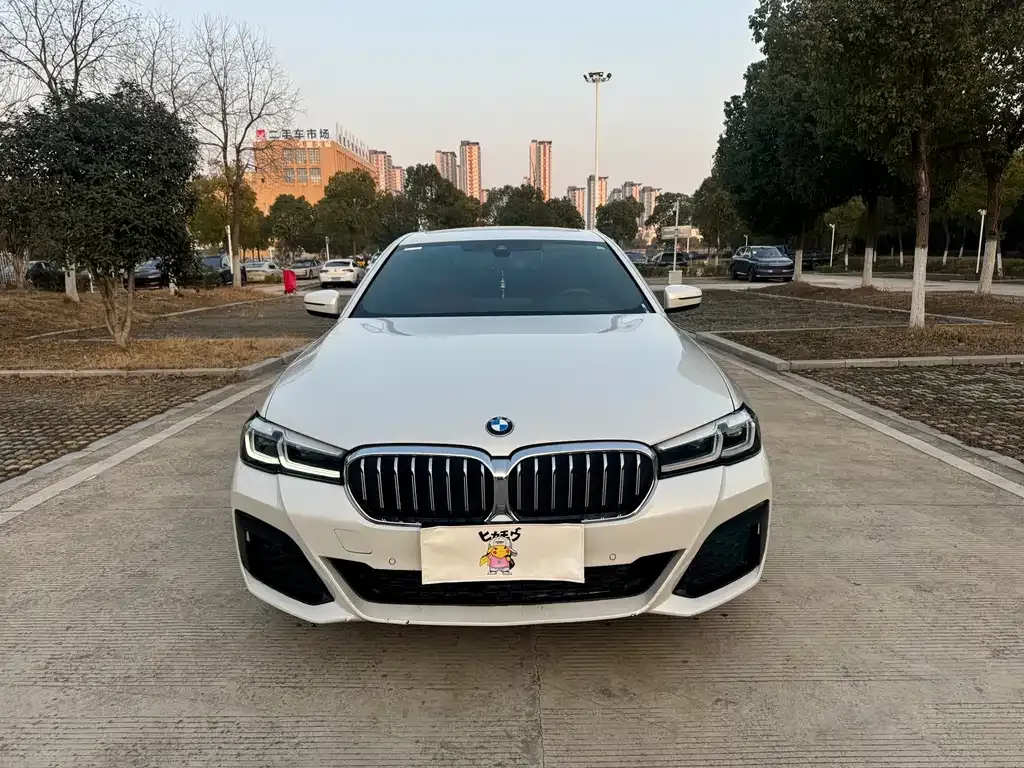 BMW 5 Series 2023 из CN, фото 9