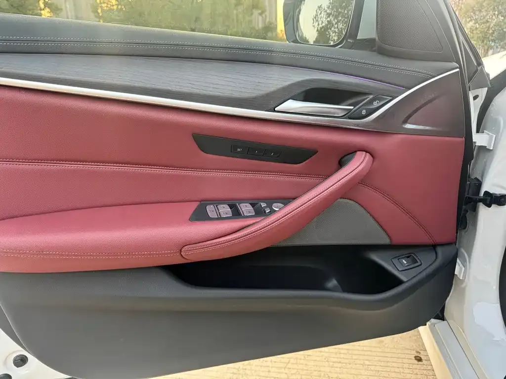 BMW 5 Series 2023 из CN, фото 7