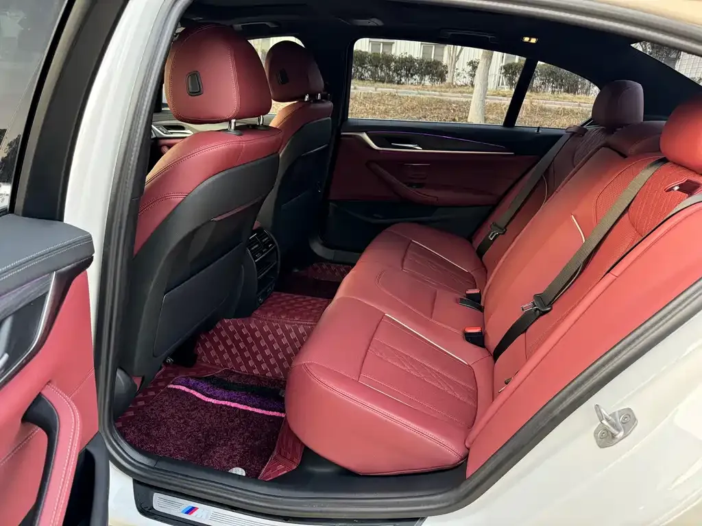 BMW 5 Series 2023 из CN, фото 8