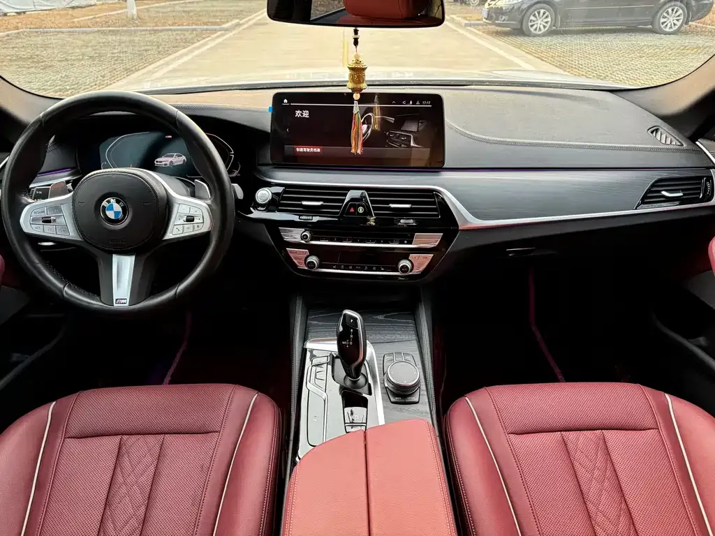 BMW 5 Series 2023 из CN, фото 10